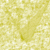 yellow11.gif